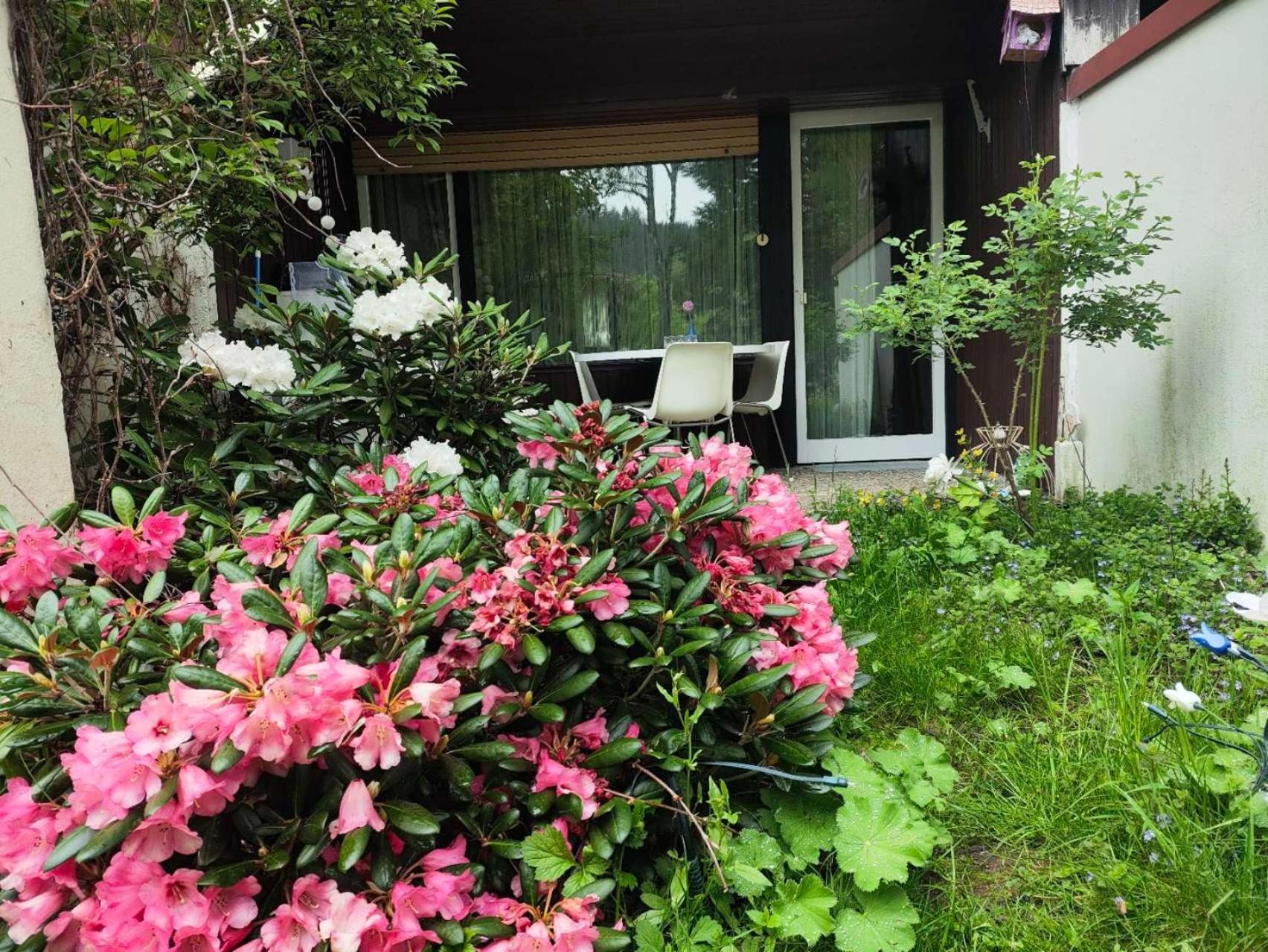 Ferienwohnung Schoene Wohnung 2D-Gebaeude Mit Mini-Garten Schönwalde Exteriér fotografie